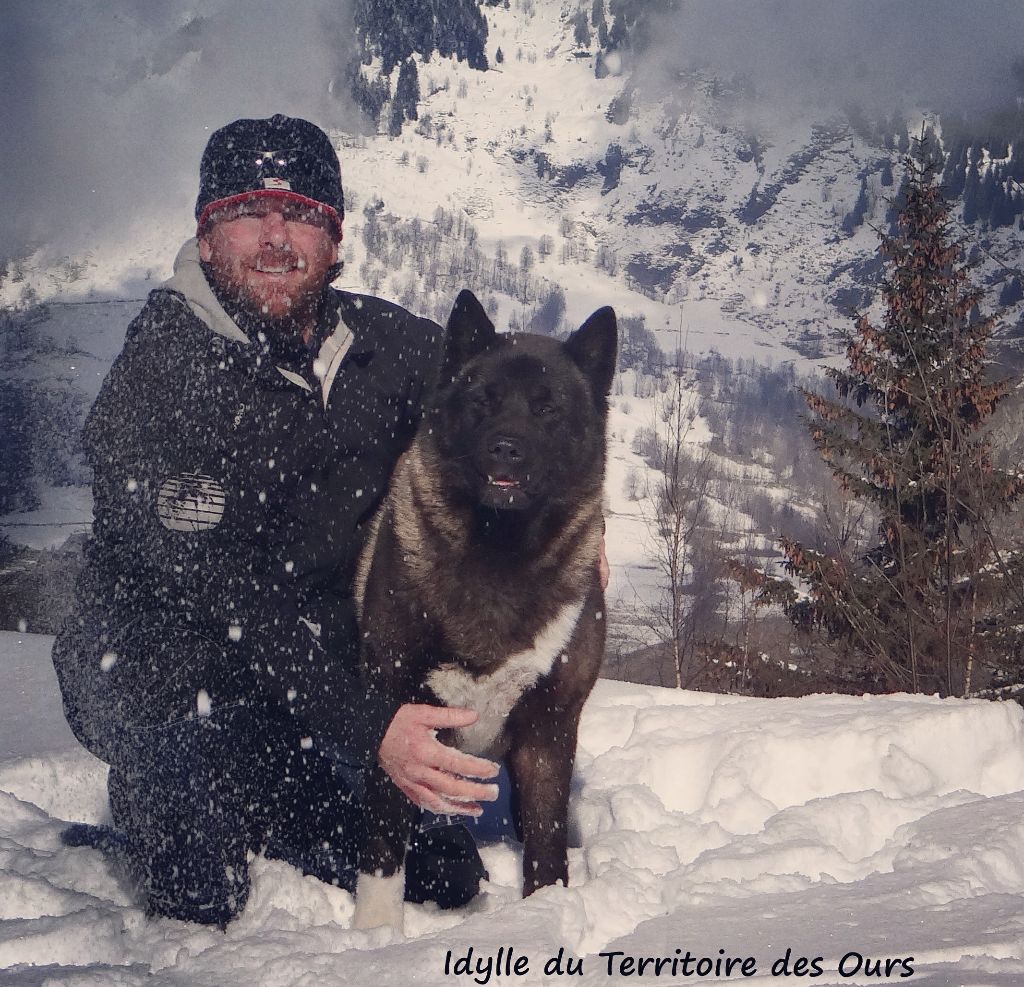 Idylle du Territoire Des Ours