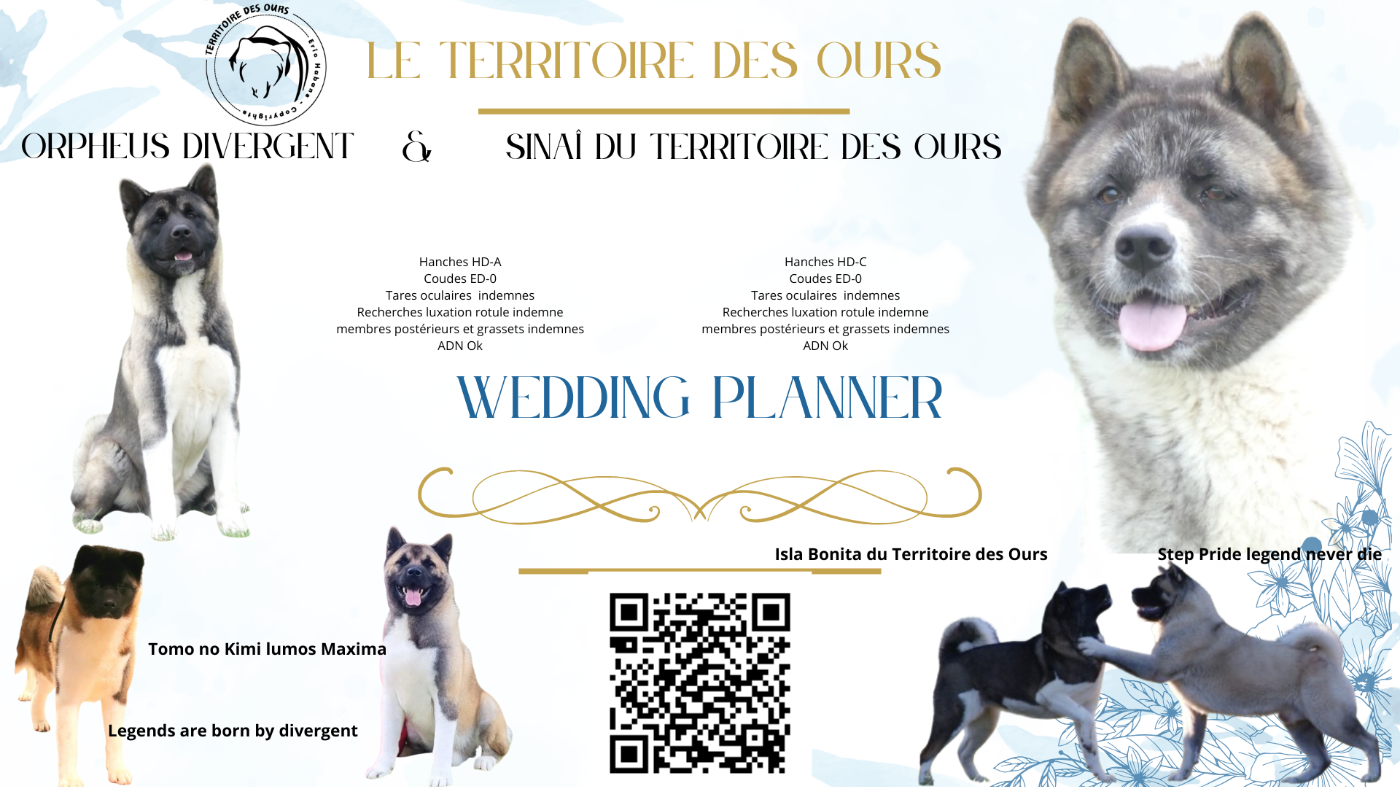 Nouvelles naissances en Novembre