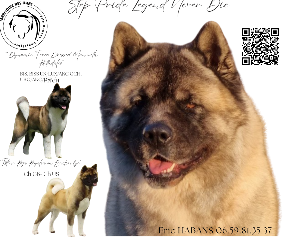 du Territoire Des Ours - Step Pride Legend Never Die